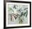 Jennies plant-Anne Walker-Framed Limited Edition