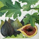 Figs, 2013-Jennifer Abbott-Framed Giclee Print