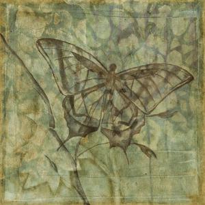 Jennifer Goldberger Flowers Art Prints Paintings Posters Wall Art Art Com