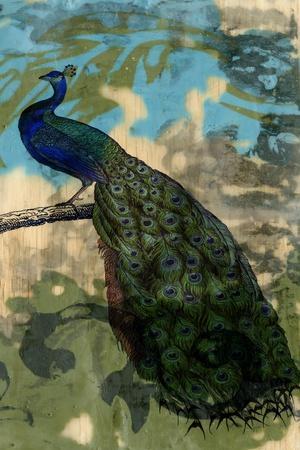 Peafowl, Peacock #1 Ornament by - Bridgeman Prints