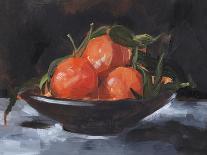 Fruit Plate II-Jennifer Parker-Art Print