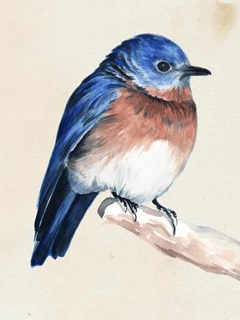 https://imgc.artprintimages.com/img/print/jennifer-paxton-parker-little-bird-on-branch-i_u-l-q1i8zf70.jpg?background=f3f3f3