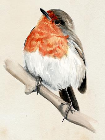https://imgc.artprintimages.com/img/print/jennifer-paxton-parker-little-bird-on-branch-iv_u-l-q1i9czc0.jpg?background=f3f3f3