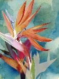 Vivid Birds of Paradise I-Jennifer Paxton Parker-Art Print