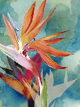 Little Bird on Branch IV-Jennifer Paxton Parker-Art Print