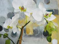 Apple Blossom Trio-Jennifer Rasmusson-Framed Art Print