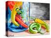 Stretched Canvas Print
