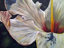 Hibiscus-Jennifer Redstreake Geary-Art Print