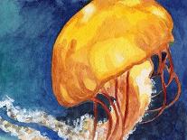 Jellyfish-Jennifer Redstreake Geary-Art Print