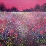 Cornflowers and The Moon No 1-Jennifer Taylor-Stretched Canvas