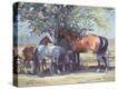 Stretched Canvas Print
