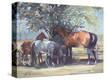 Stretched Canvas Print