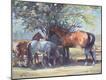 Giclee Print
