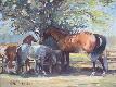 Giclee Print