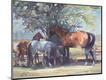 Giclee Print