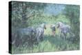 Stretched Canvas Print