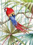 Parrot, 2008-Jenny Barnard-Giclee Print