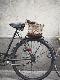 Premium Photographic Print