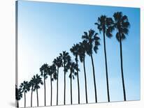 La Jolla Palms-Jenny Kraft-Stretched Canvas