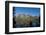 Jenny Lake, Grand Teton National Park, Wyoming, United States of America, North America-Michael DeFreitas-Framed Photographic Print