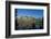 Jenny Lake, Grand Teton National Park, Wyoming, United States of America, North America-Michael DeFreitas-Framed Photographic Print