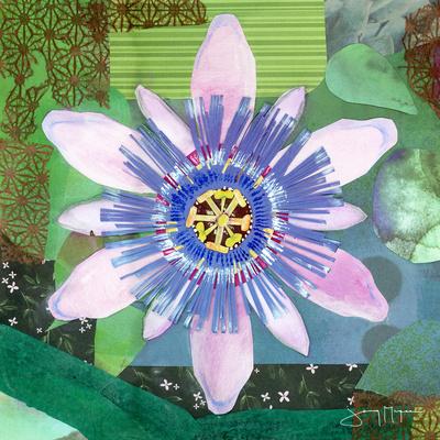PassionFlower Wall Art: Prints, Paintings & Posters | Art.com PassionFlower Wall Art: Prints, Paintings & Posters | Art.com