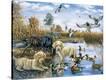 Stretched Canvas Print