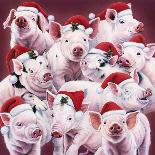 Christmas Piggies-Jenny Newland-Giclee Print