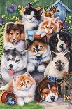Poker Dogs 2-Jenny Newland-Giclee Print