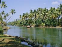 Palm Trees and Fishing Boats, Colva Beach, Goa, India-Jenny Pate-Photographic Print