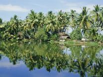 The Backwaters Near Kumarakom, Kerala State, India, Asia-Jenny Pate-Photographic Print