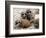 Jenny the Meerkat's Four New Babies Watch as She Stands at London Zoo-null-Framed Photographic Print