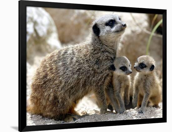 Photographic Print, , large