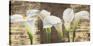 Tulips in Mason Jars-Jenny Thomlinson-Stretched Canvas