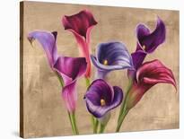 Callas on Gold (mocca variation)-Jenny Thomlinson-Stretched Canvas