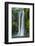 Jeongbang Pompom Waterfall, Jejudo Island, South Korea-Michael Runkel-Framed Photographic Print