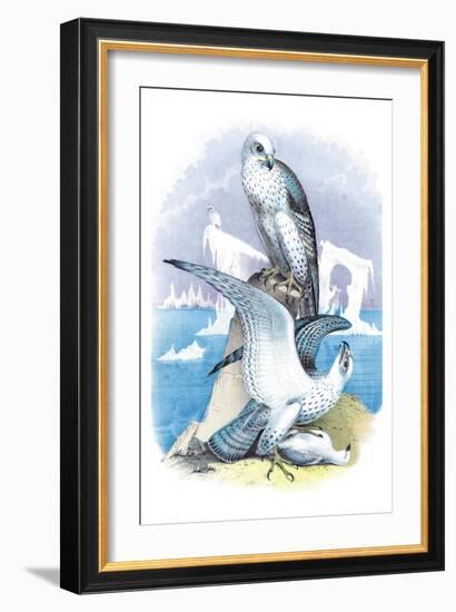 Jer-Falcon-Theodore Jasper-Framed Art Print