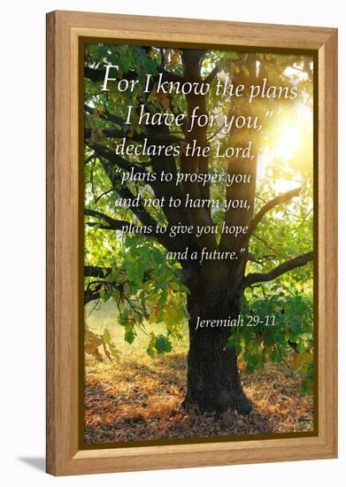 Jeremiah 29:11 - Inspirational-Lantern Press-Framed Stretched Canvas