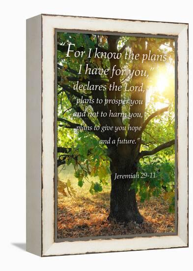 Jeremiah 29:11 - Inspirational-Lantern Press-Framed Stretched Canvas