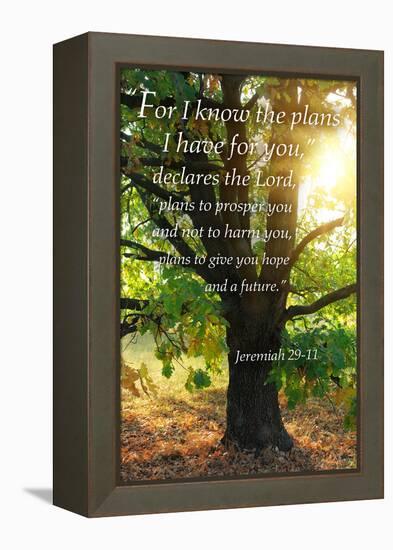 Jeremiah 29:11 - Inspirational-Lantern Press-Framed Stretched Canvas