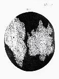 Drawing of Mould From Hooke's Micrographia-Jeremy Burgess-Photographic Print