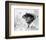 Jeremy Irons, Brideshead Revisited (1982)-null-Framed Photo