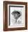 Jeremy Irons - Brideshead Revisited-null-Framed Photo