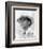 Jeremy Irons - Brideshead Revisited-null-Framed Photo