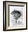 Jeremy Irons - Brideshead Revisited-null-Framed Photo