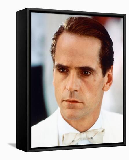 Jeremy Irons-null-Framed Stretched Canvas