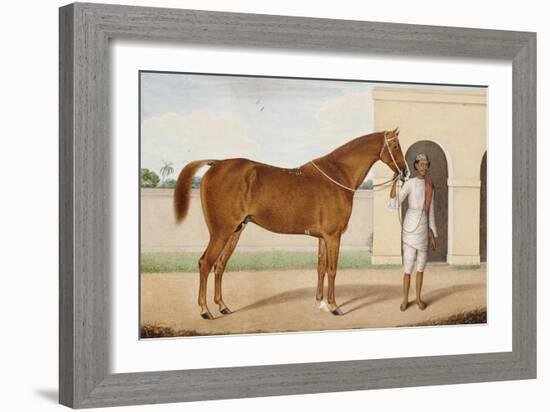 Jeremy Jumps, a Chestnut Stallion-Shaykh Muhammad Amir Of  Karraya Amir Of  Karraya-Framed Giclee Print