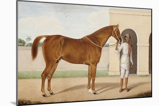 Jeremy Jumps, a Chestnut Stallion-Shaykh Muhammad Amir Of  Karraya Amir Of  Karraya-Mounted Giclee Print