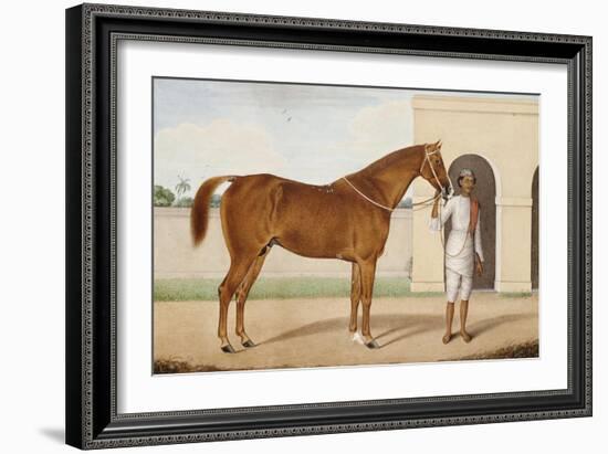 Jeremy Jumps, a Chestnut Stallion-Shaykh Muhammad Amir Of  Karraya Amir Of  Karraya-Framed Giclee Print