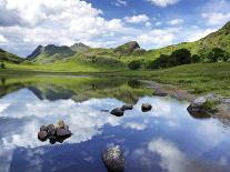 Blea Tarn and Langdale Pikes, Lake District National Park, Cumbria, England, United Kingdom, Europe-Jeremy Lightfoot-Photographic Print